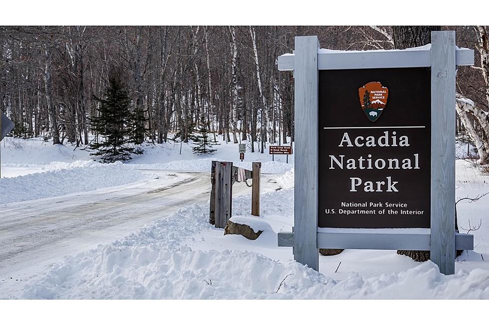 Acadia’s Fee for Winter Visits Brings in Half a Million Through January