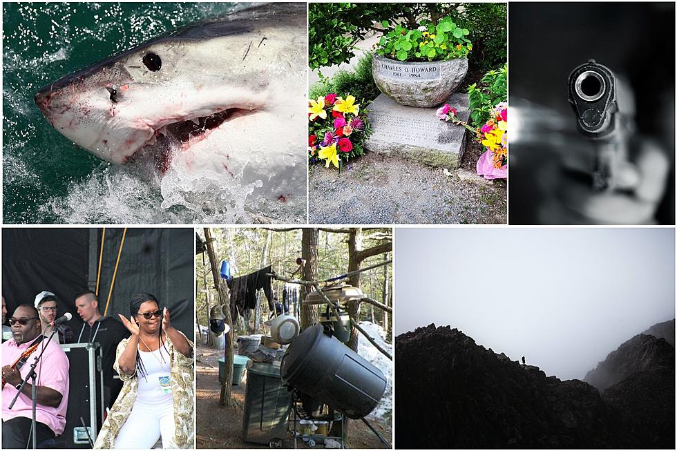 16 Stories from Maine that Turned Up in News Across the Country