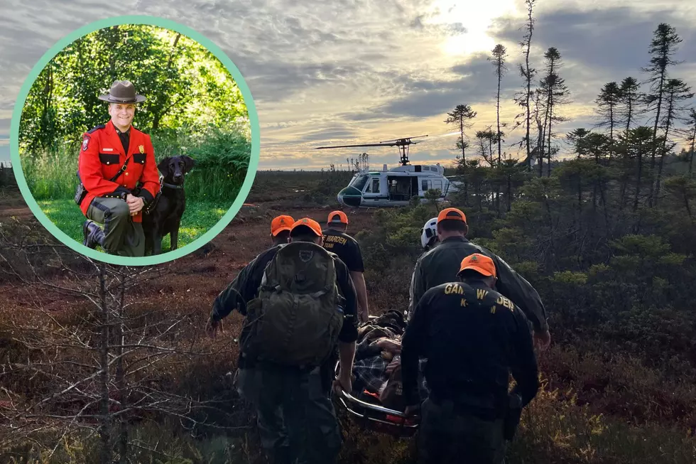 Maine Warden K9 Luna Does It Again, Locating a Missing Etna Man