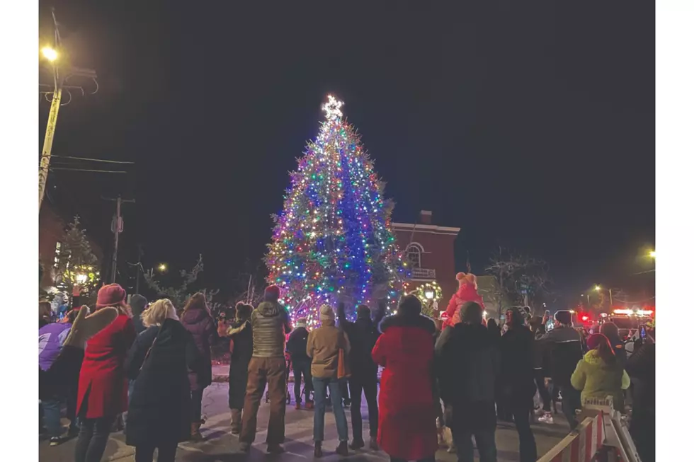 Belfast Annual Holiday Tree Lighting is Today