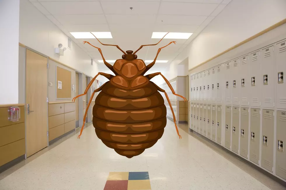 Maine School Reassuring Parents After the Discovery of Bed Bugs
