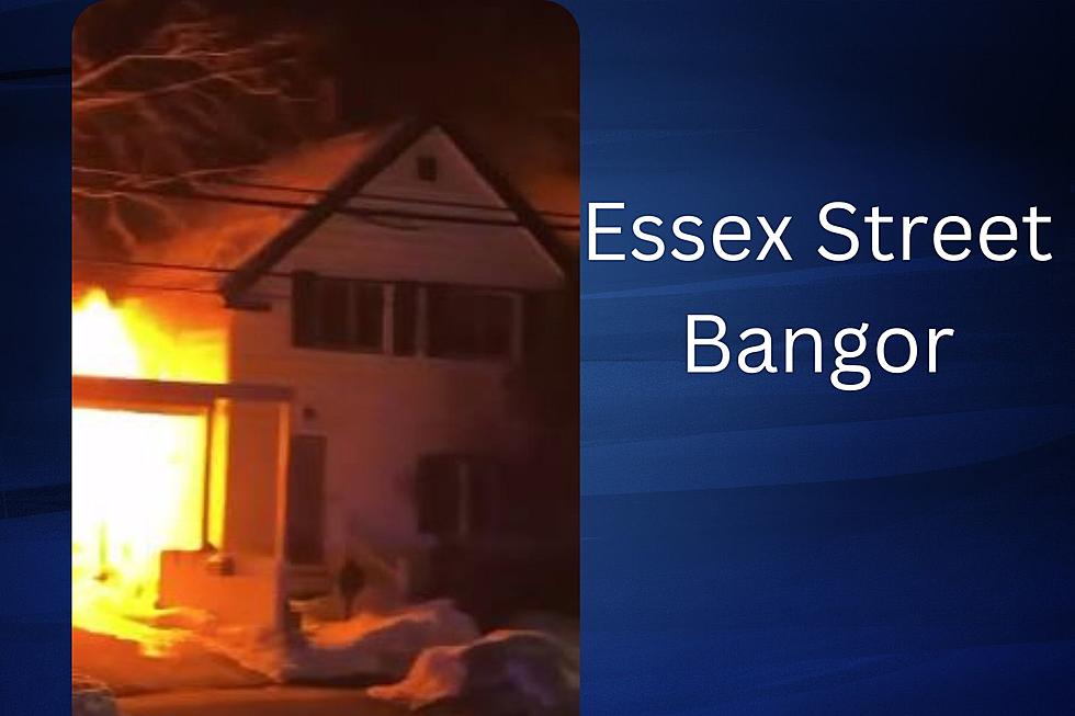 2 Family Pets Were Rescued From a House Fire on Bangor’s Essex St