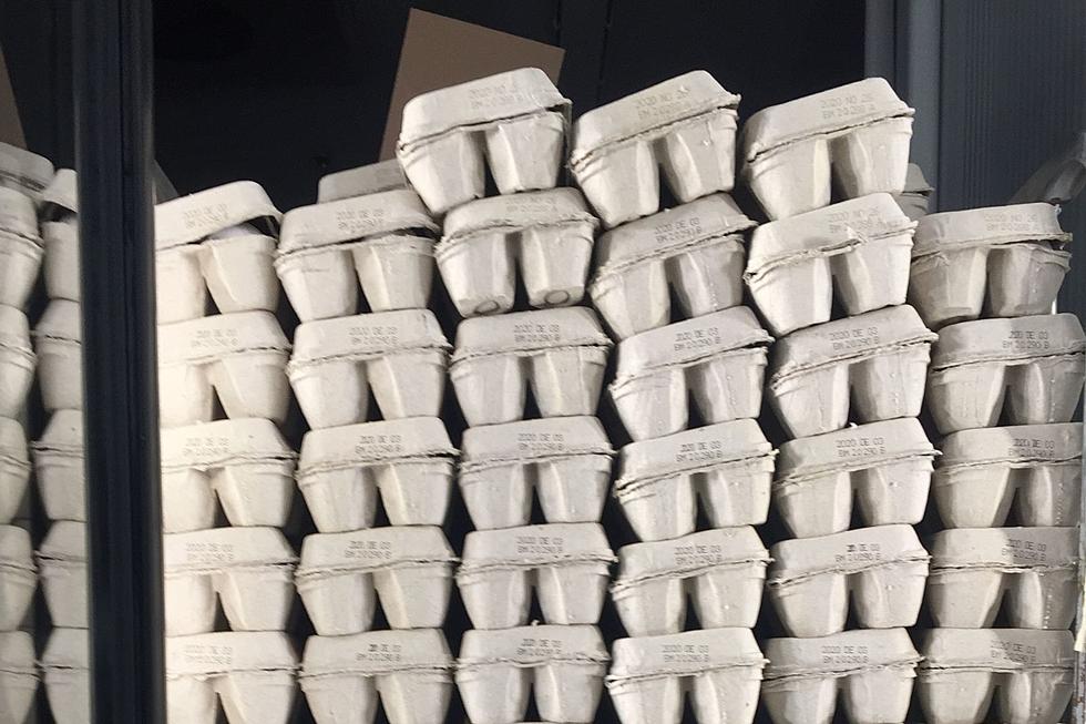 Do You Have Spare Egg Cartons? This Maine Food Center is in Need!