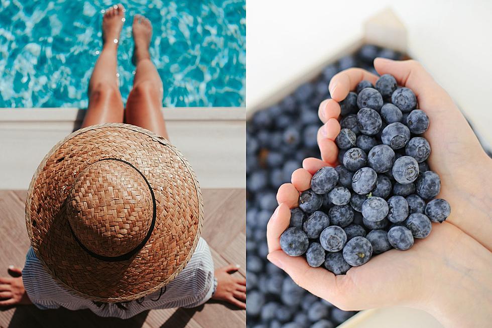 Apparently This Maine Berry Can Protect Your Skin This Summer