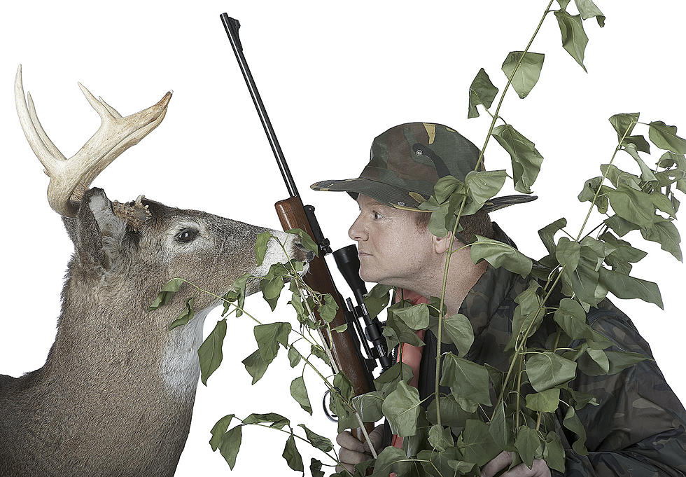 Maine's Deer Hunting Firearms Season Underway