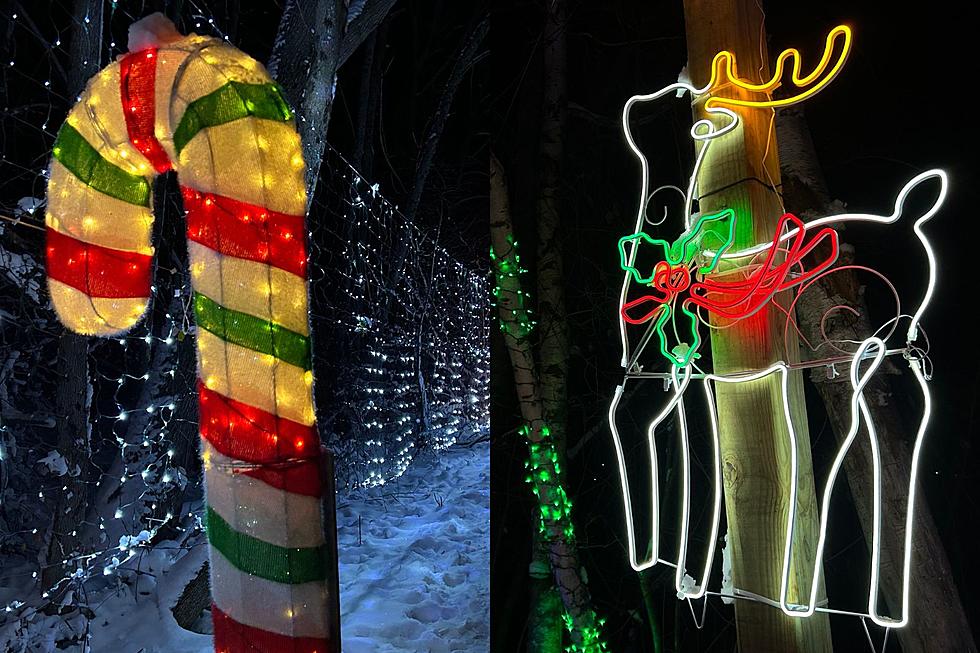 Check Out the 2023 Stillwater River Trail of Lights in Orono [PHOTOS]