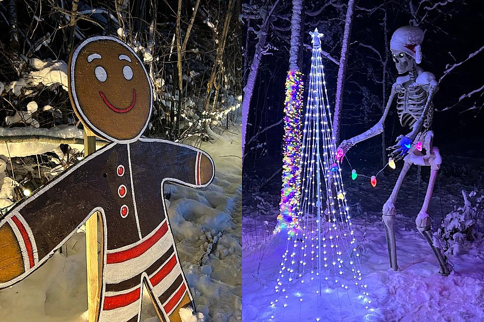 The 2023 Stillwater River Trail of Lights in Orono [PHOTOS]