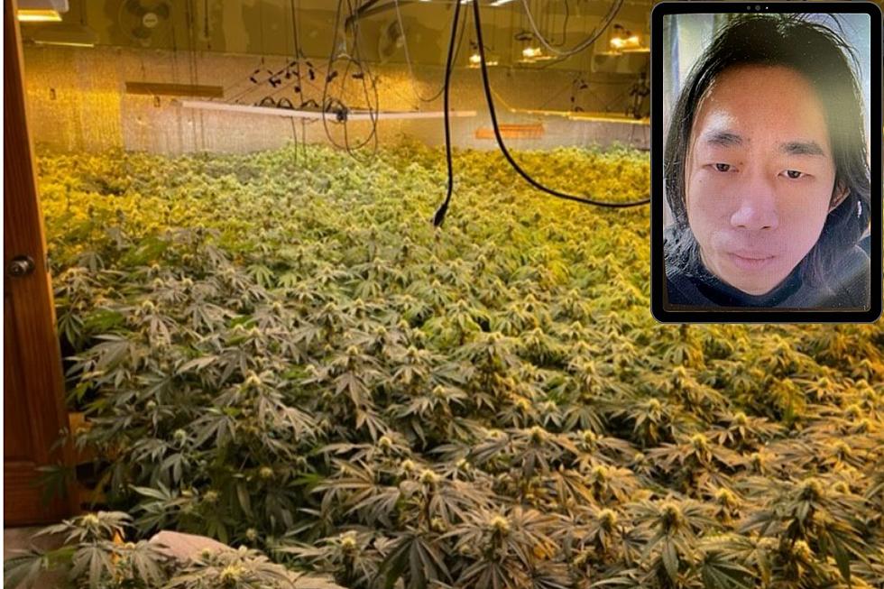 New York Man Arrested at an Illegal Grow House in Norridgewock