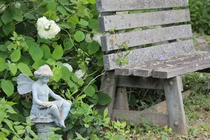 Hermon Maine’s Beautiful Hidden Gem is a Lunch Hour Oasis