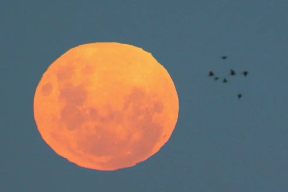 Harvest Moon Coming to Maine Early Friday Morning the 29th