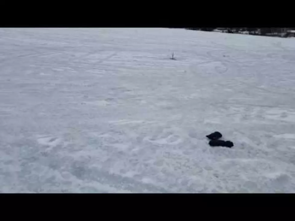 Maine Ice Fishing Mannequin Challenge [VIDEO]