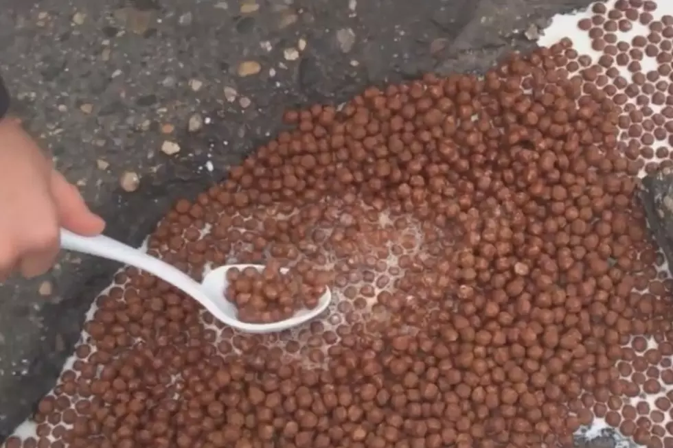 Pothole Cereal Eating… It’s A Thing [VIDEO]