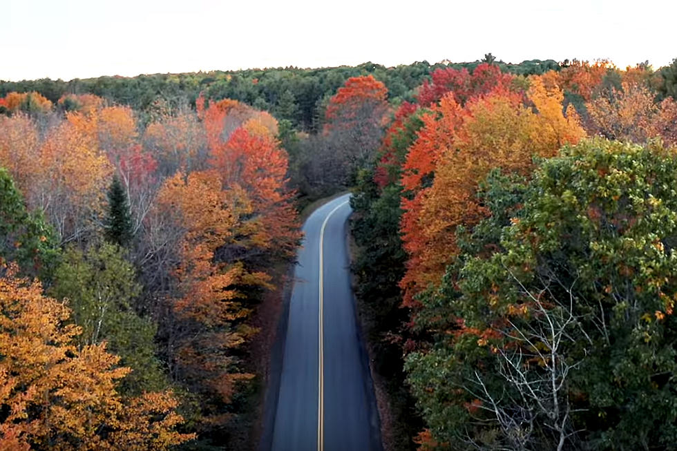 Here’s When We Can Expect The Peak of Maine’s Fall Colors For 2019