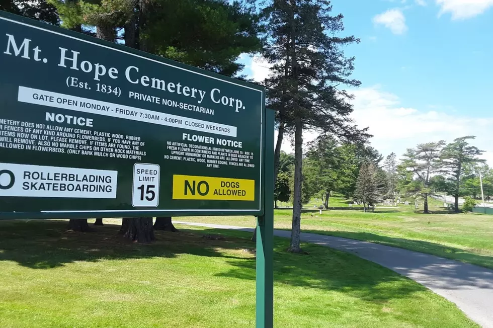 Bangor Sees First Cemetery In Maine For Pet Burials In  Whole-Family Plots