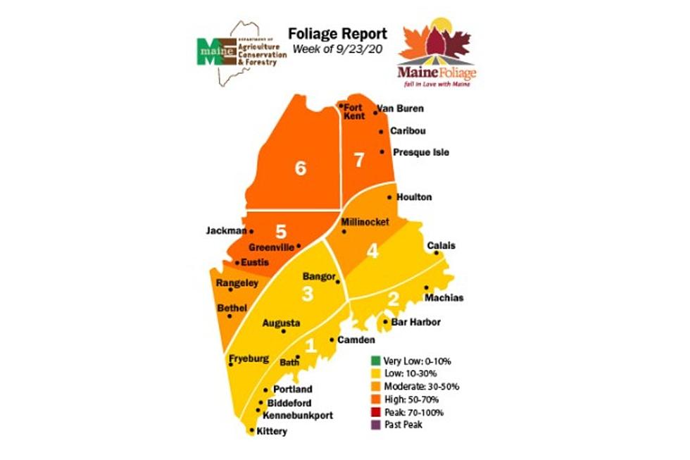 Maine Fall Foliage Report for This Week: September 23rd