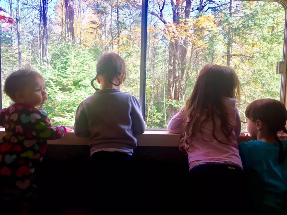 Fall Foliage Train Rides: A Fun Way To Check Out The Change In Seasons