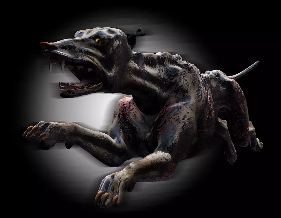 TV Show Thinks Maine Shadow Creature Could Be A ‘Hellhound’