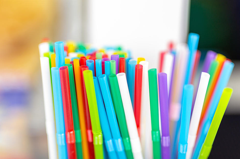 Maine Lawmakers Weigh Ban on Plastic Straws, Stirrers, Lids