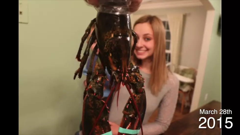 Maine Man Documents 8 Years Of Chasing Wife With Live Lobsters