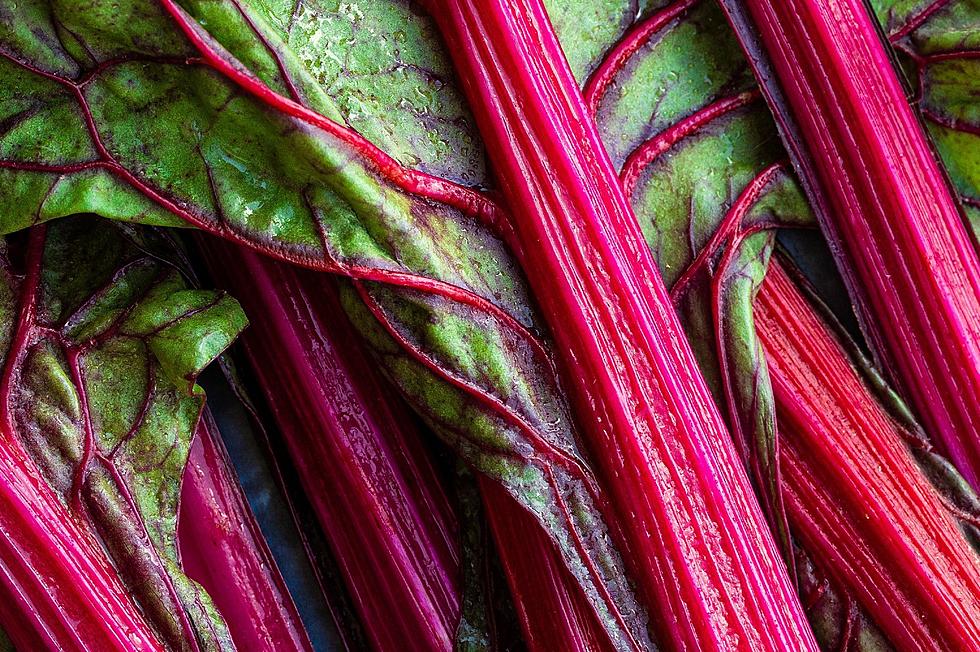 Mysterious Maine Farmer Was First With Rhubarb In U.S.
