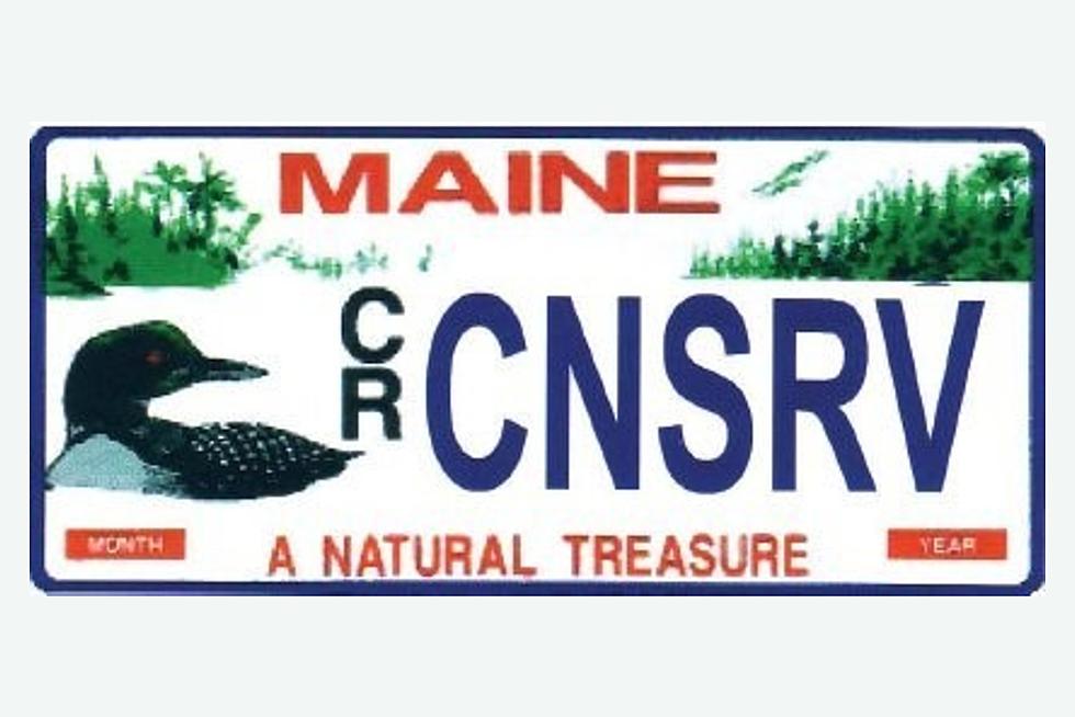 Have This? Get Into Maine State Parks For Free This Sunday
