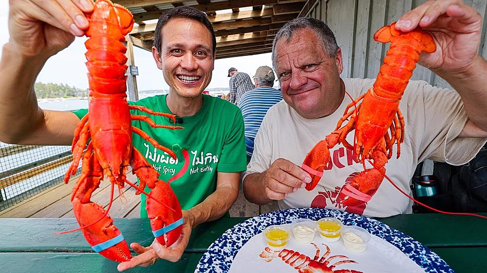 ‘Full Time Eater’ Takes Maine Lobster Roll Tour