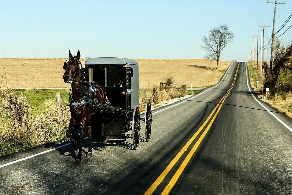 Maine Drivers Need to Be More Mindful of Horse and Buggy On Rural Roads