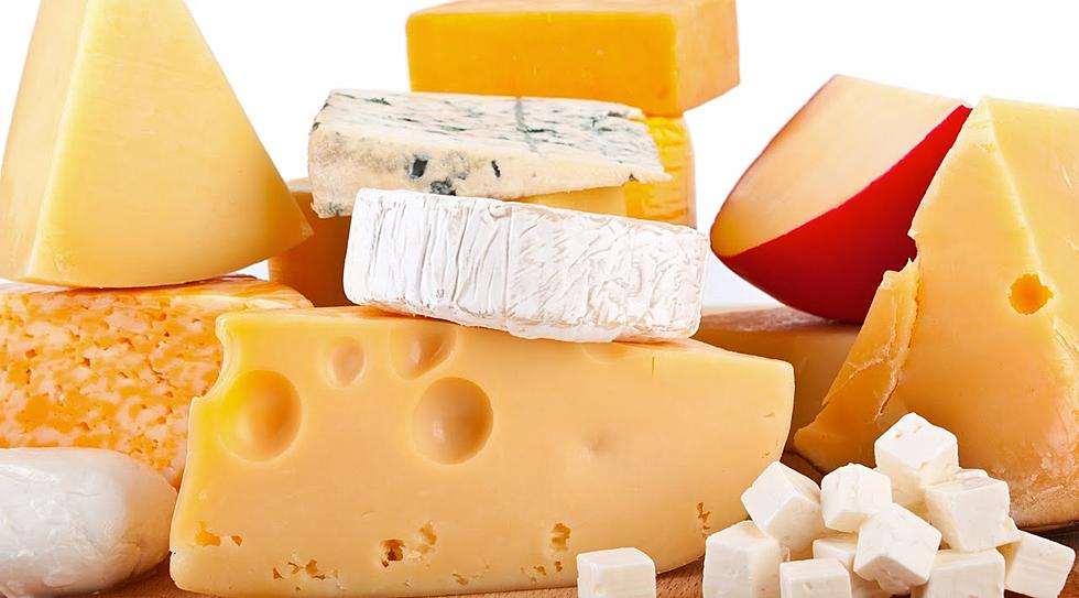 ROAD TRIP WORTHY-The Maine Cheese Festival