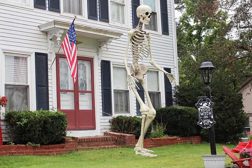 BREAKING: Giant Skeleton Resurfaces In Brewer And I&#8217;m So Happy It&#8217;s Back!