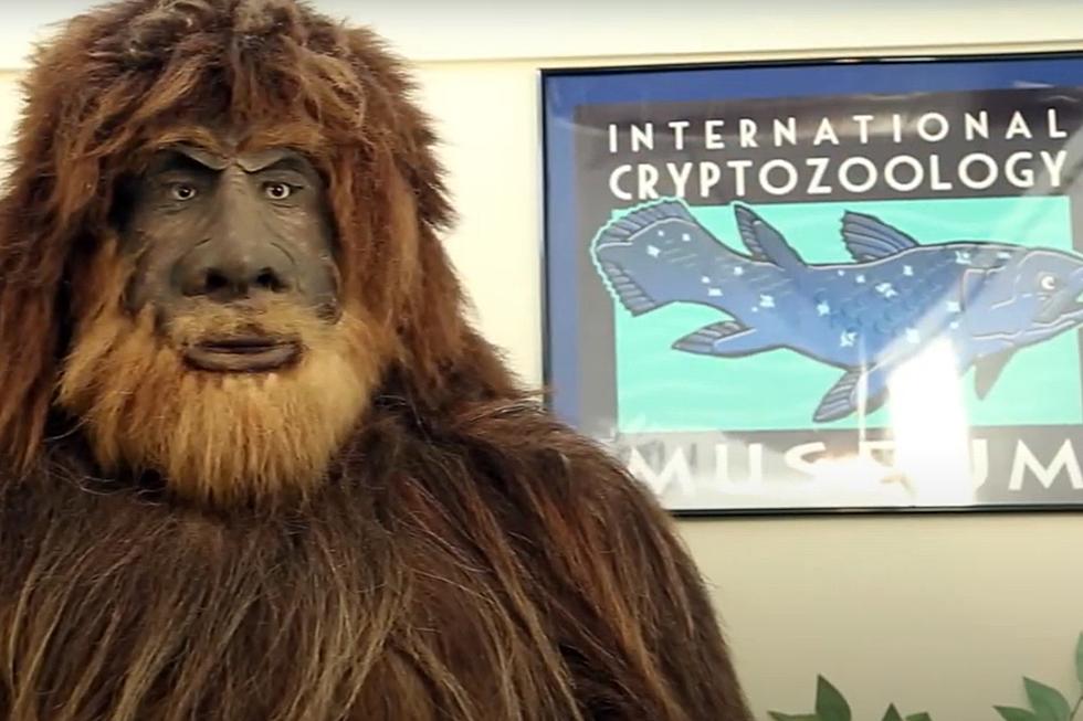 Maine Cryptozoology Museum Named One of the World’s ‘Most Unusual’