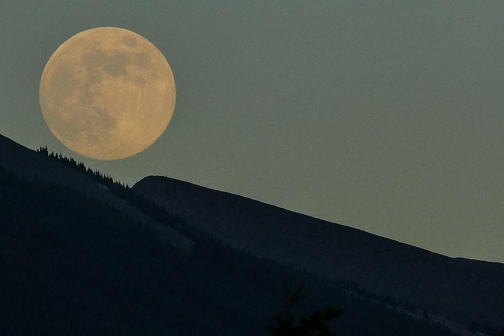Take A Full Moon Nighttime Hike In Orland Next Week