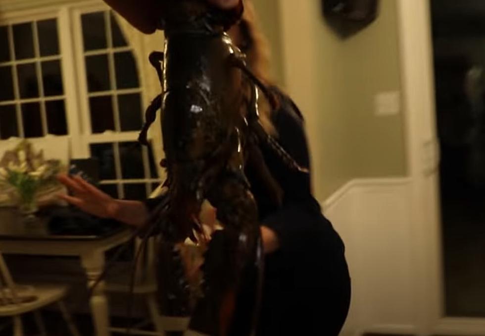 Every March A Maine Man Chases His Wife With A Live Lobster