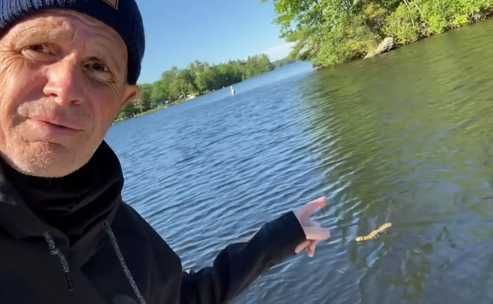 Bob Marley Sees A Swimming Squirrel At Little Sebago Lake