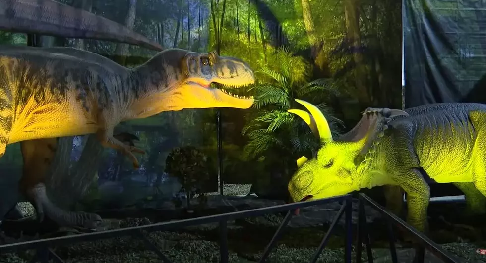 ‘Jurassic Quest’ Roars This Weekend At The Cross Insurance Center