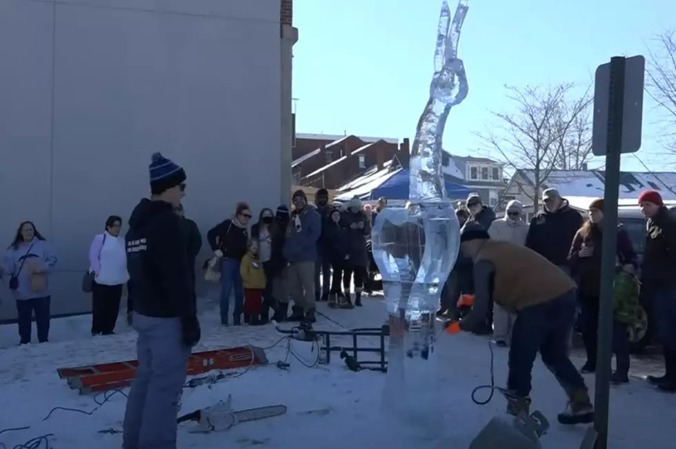 The Belfast Ice Festival Starts Today
