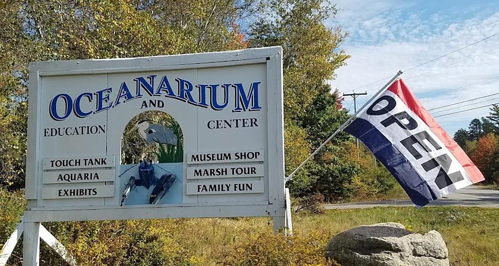 Bar Harbor Oceanarium & Education Center Is Open For The Season