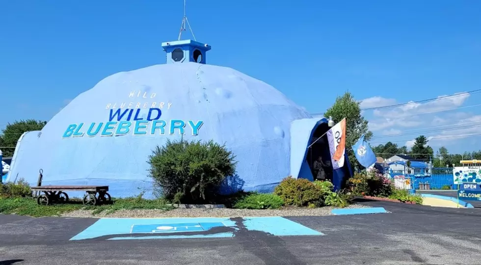 Summer Road Trip Idea: Wild Blueberry Land Opens Next Month