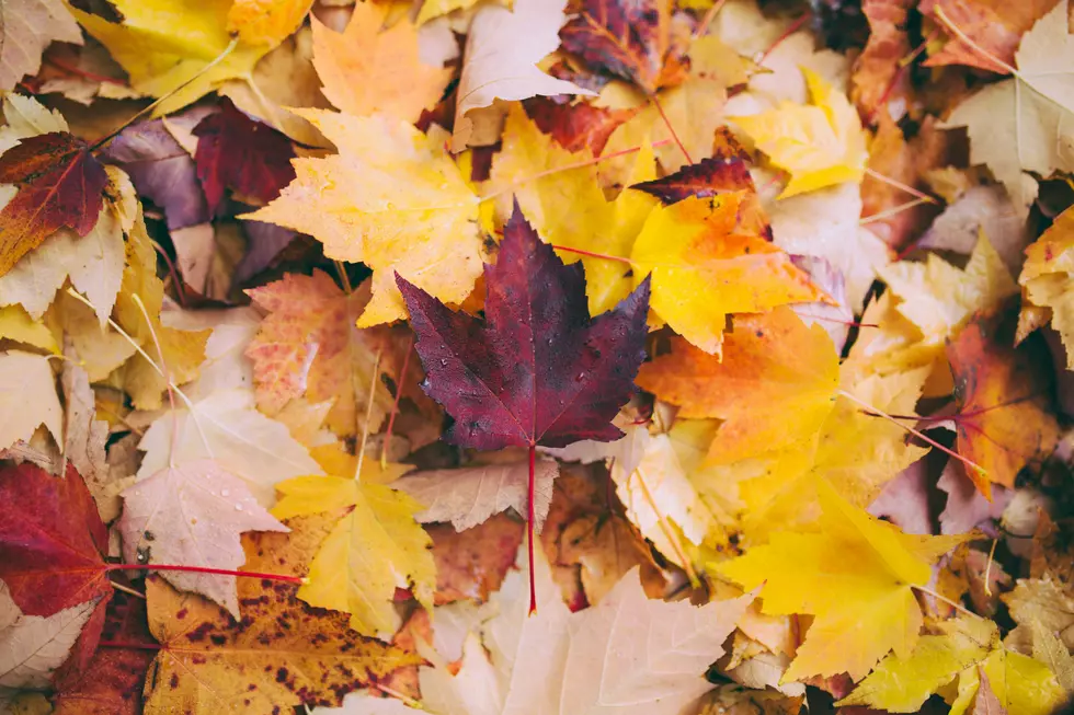 11 Best Things to Do in Maine This Fall – Bucket List Edition