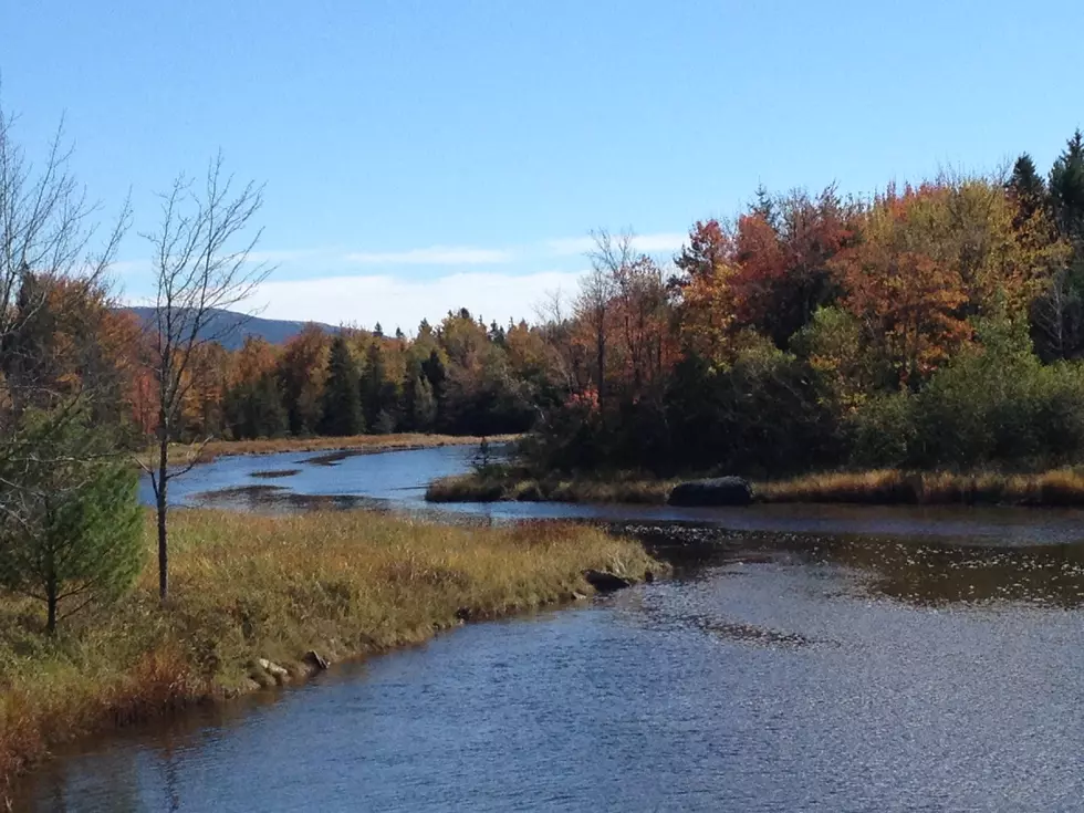 Maine Foliage Reports Begin Wednesday September 16