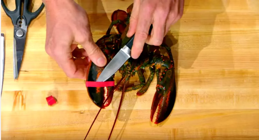 Removing Lobster Meat [VIDEO]