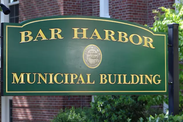 Bar Harbor Board Openings
