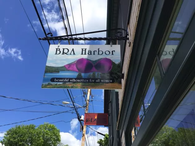 Bra Harbor to Close