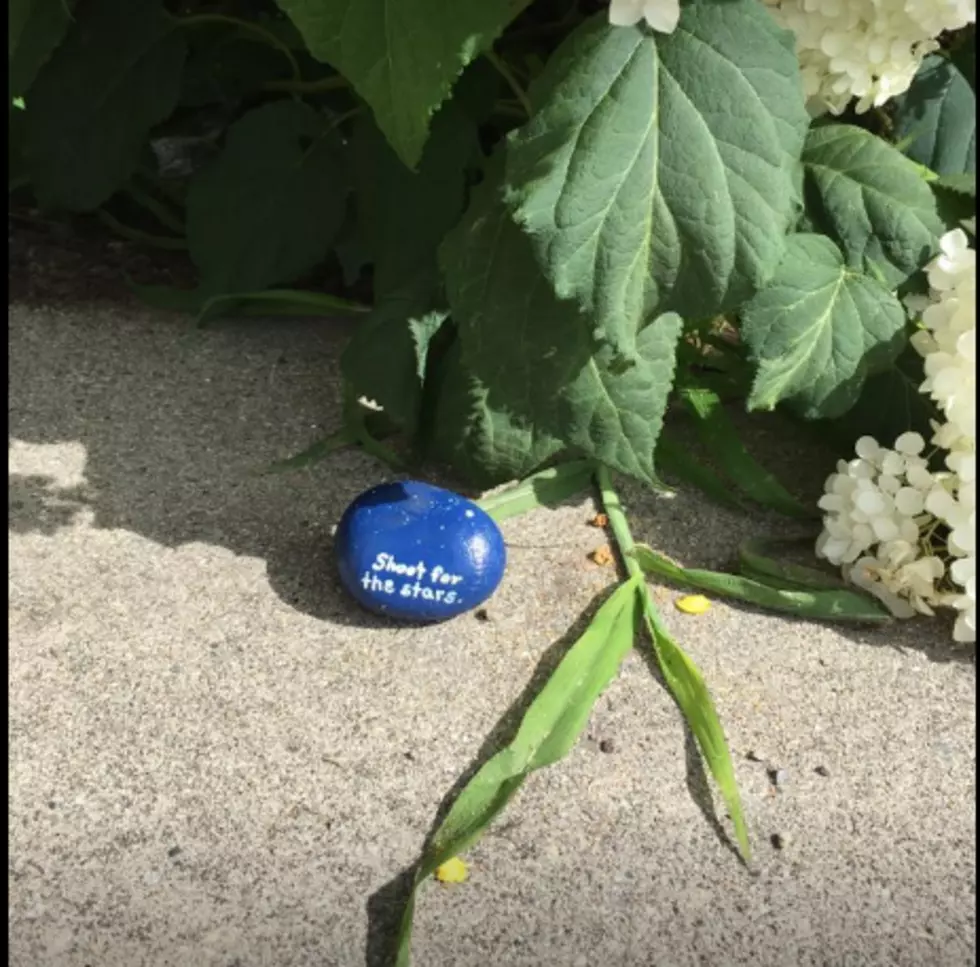 Kindness Rock Project Appears in Bar Harbor [POLL]
