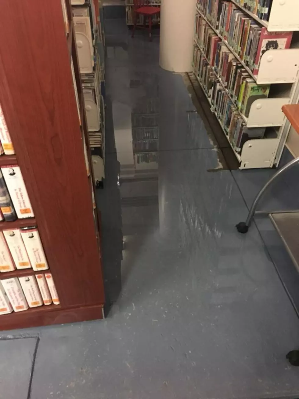 Flooding Causes Changes at the Jesup Library