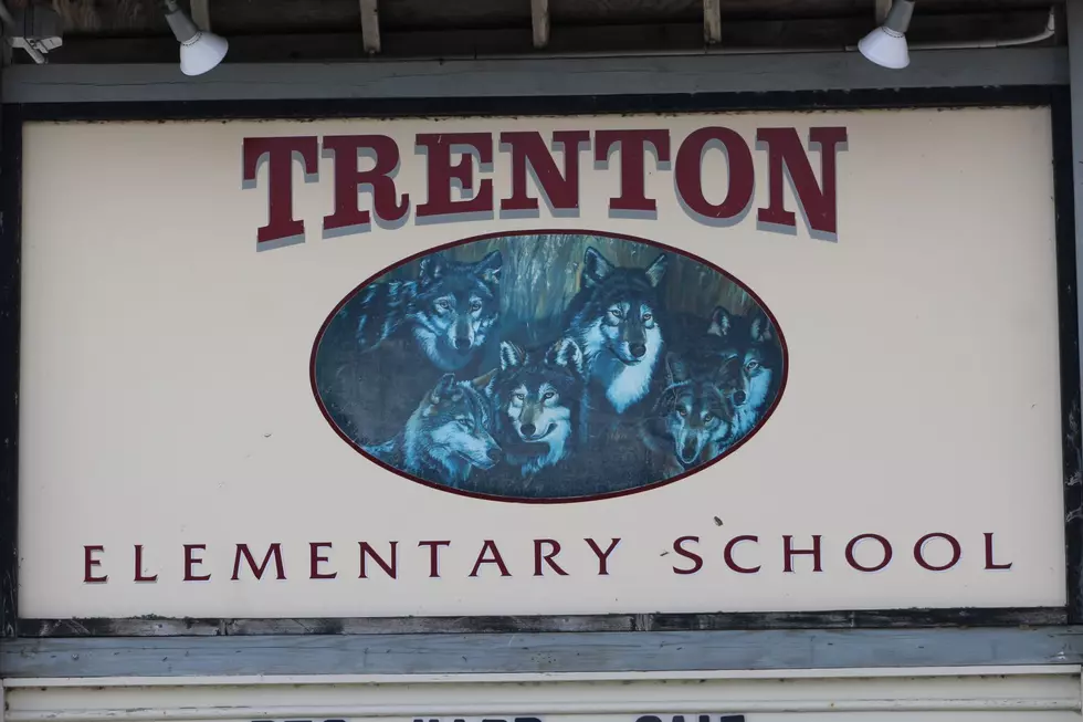 Town of Trenton Municipal Election Results May 20