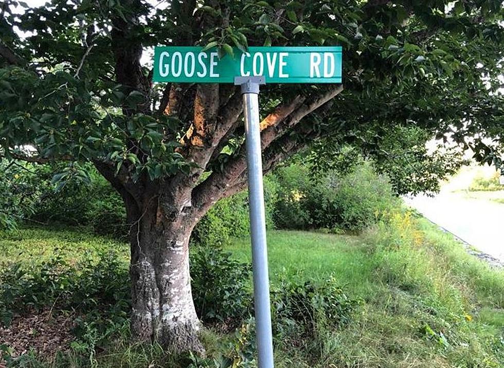 Goose Cove Road Closed to Thru Traffic Beginning Monday August 20