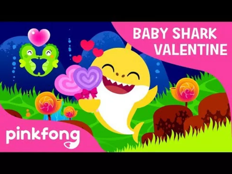 Happy Valentine’s Day – Valentine’s Day Sharks [VIDEO]