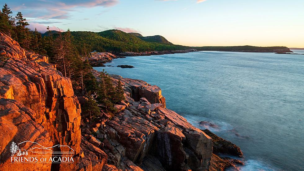 Bring a Little Slice of Acadia National Park to Your Next Zoom Meeting