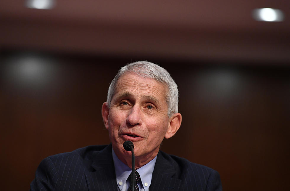 Children’s Book About Dr. Fauci To Be Released In June