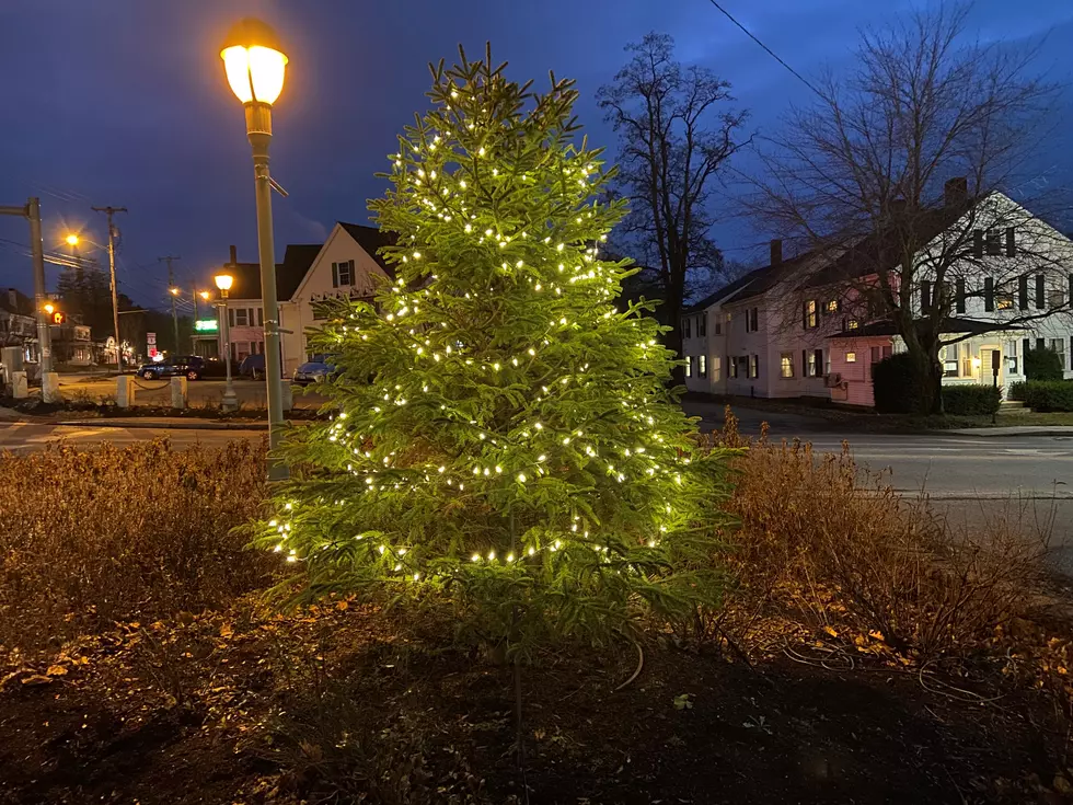 Mark the Date – November 27 for Ellsworth’s Christmas Tree Lighting